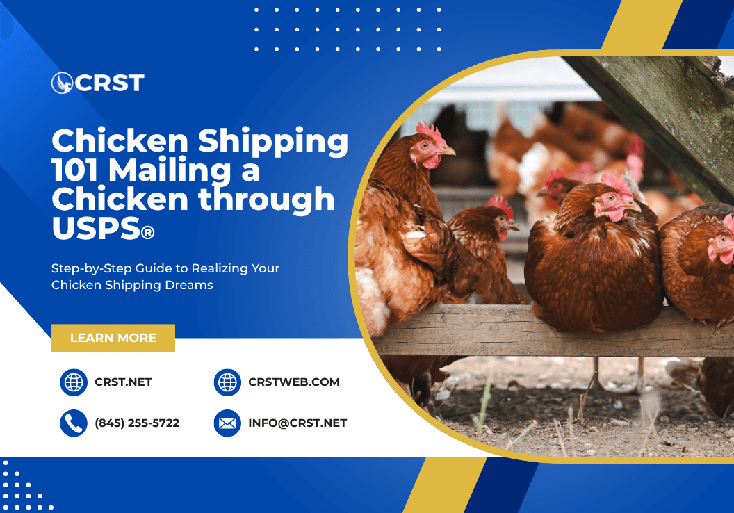 Illustration of a chicken in a USPS-approved shipping container